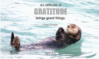 Where’s The Gratitude?